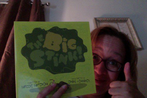 The Big Stink by Maggie Mitchell